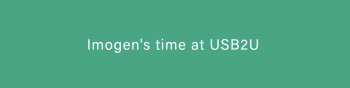 Work experience at USB2U