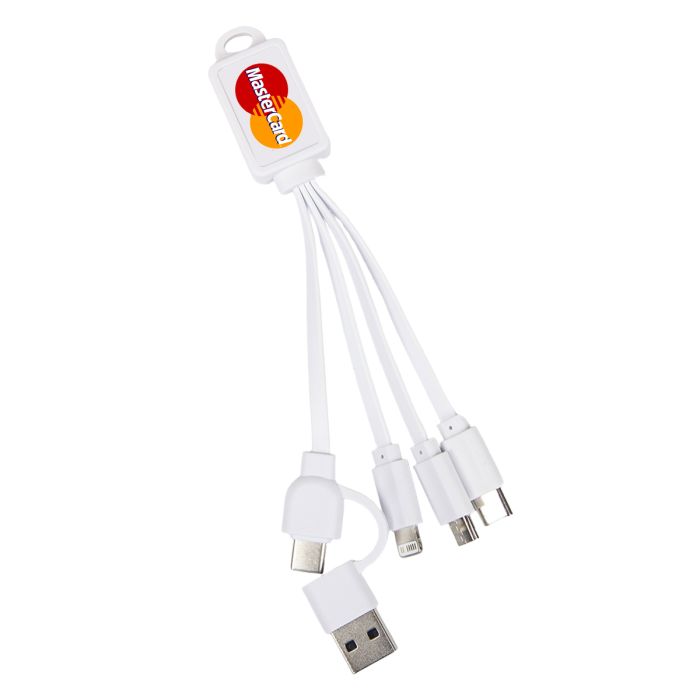 Promotional 3 in 1 Cable with mastercard logo