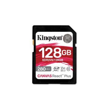 Canvas React Plus V60 SD memory card