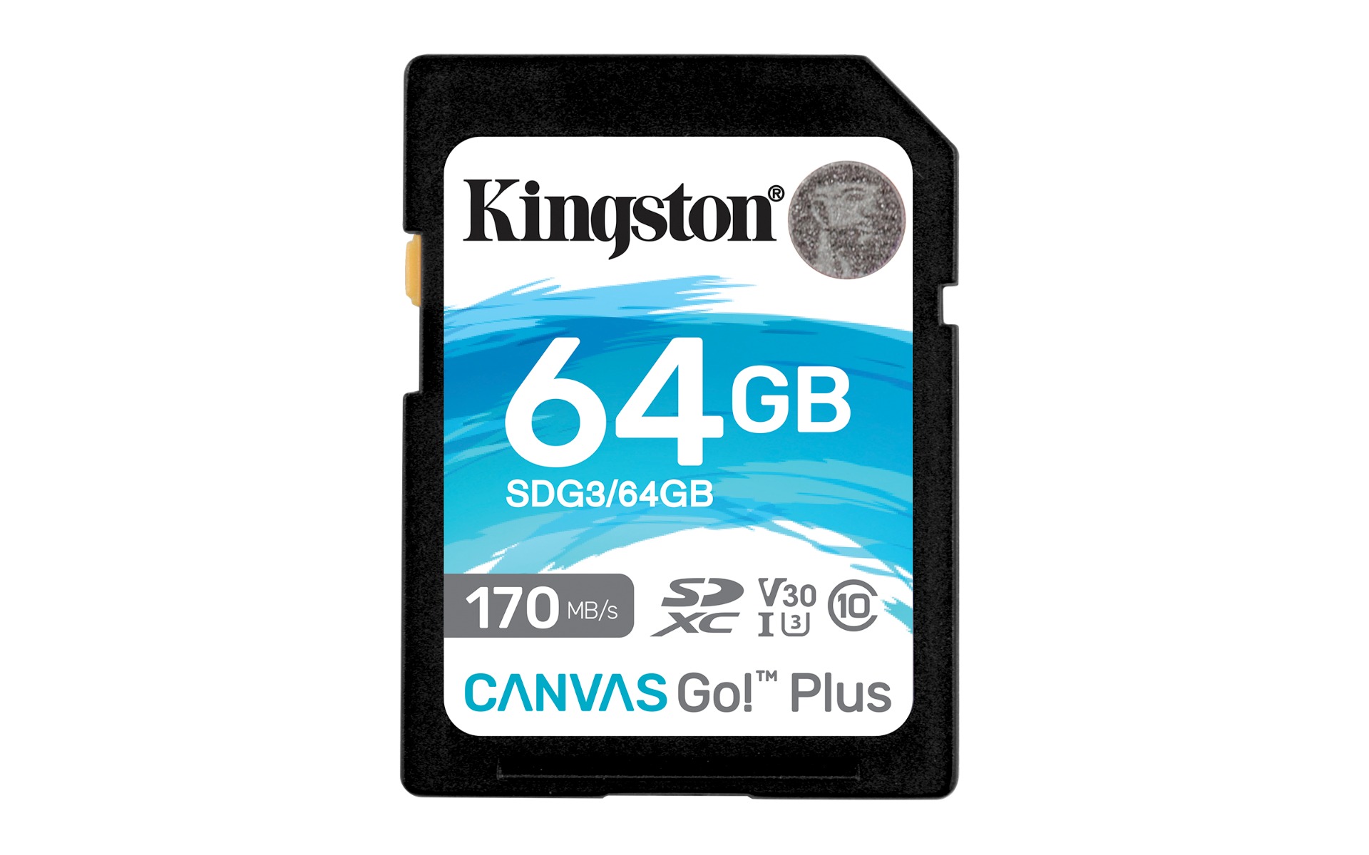 Canvas Go! Plus SD Memory Card
