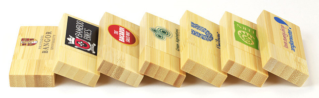 Promotional USB Memory Sticks