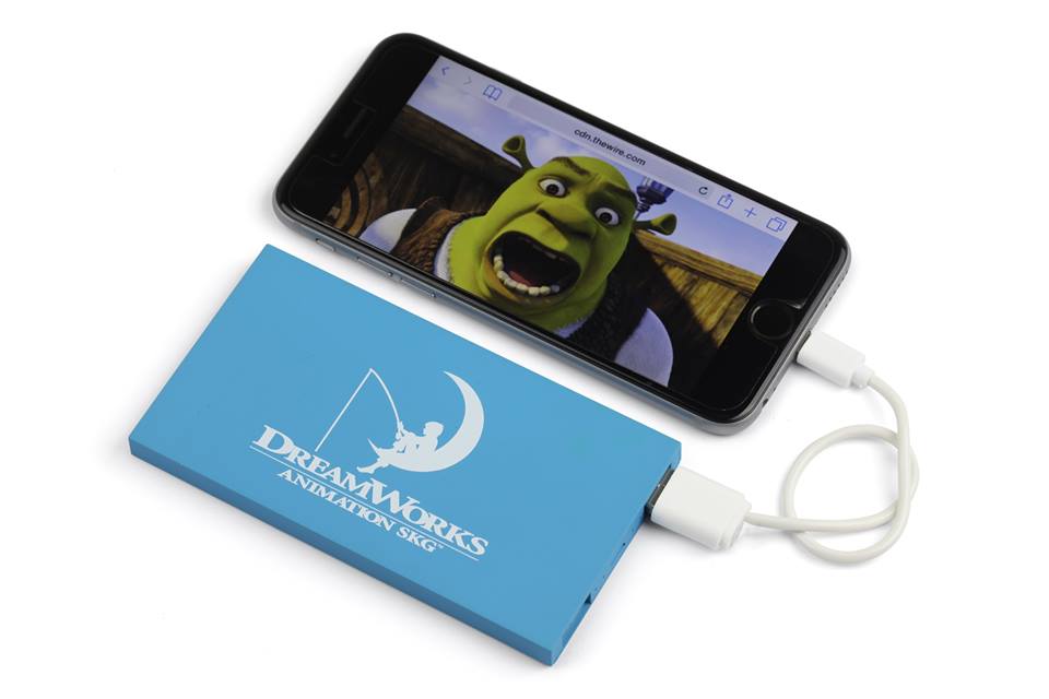 Dual Power Bank