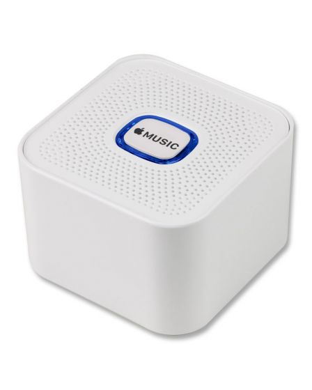 Branded Promo Speaker