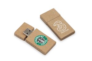 Branded cardboard usb sticks
