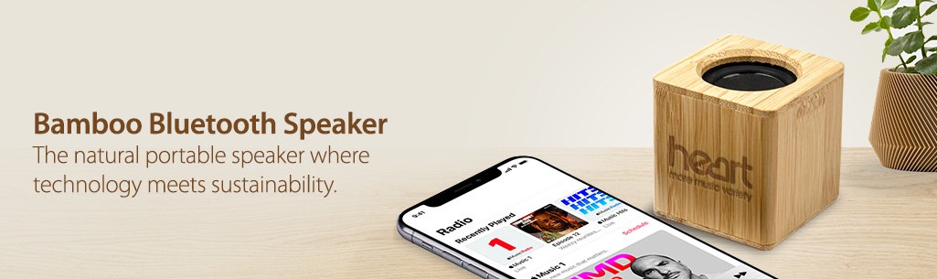 Engraved bamboo speaker with an iphone and plant